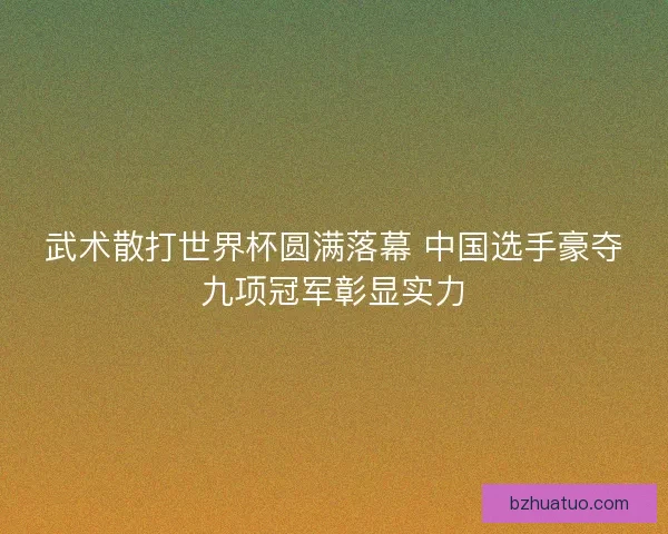 武术散打世界杯圆满落幕 中国选手豪夺九项冠军彰显实力