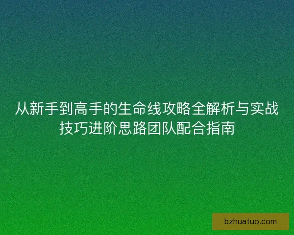 从新手到高手的生命线攻略全解析与实战技巧进阶思路团队配合指南