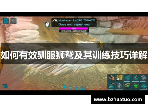 如何有效驯服狮鹫及其训练技巧详解