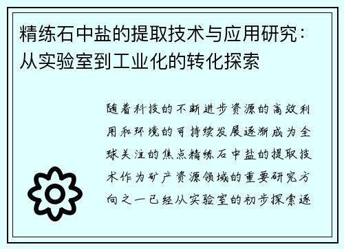 精练石中盐的提取技术与应用研究：从实验室到工业化的转化探索